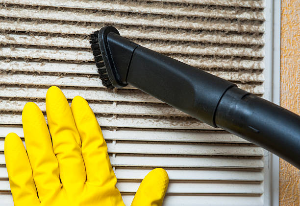 Best Home Air Vent Cleaning  in Emigration Canyon, UT